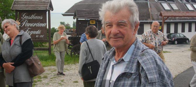 Kovács János somogyszobi fafaragó népművész